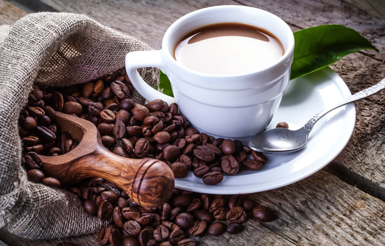 Photo wallpaper leaves, spoon, Cup, coffee beans, saucer, blade, pouch, Corr