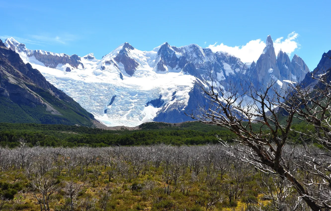 Photo wallpaper the sky, trees, landscape, mountains