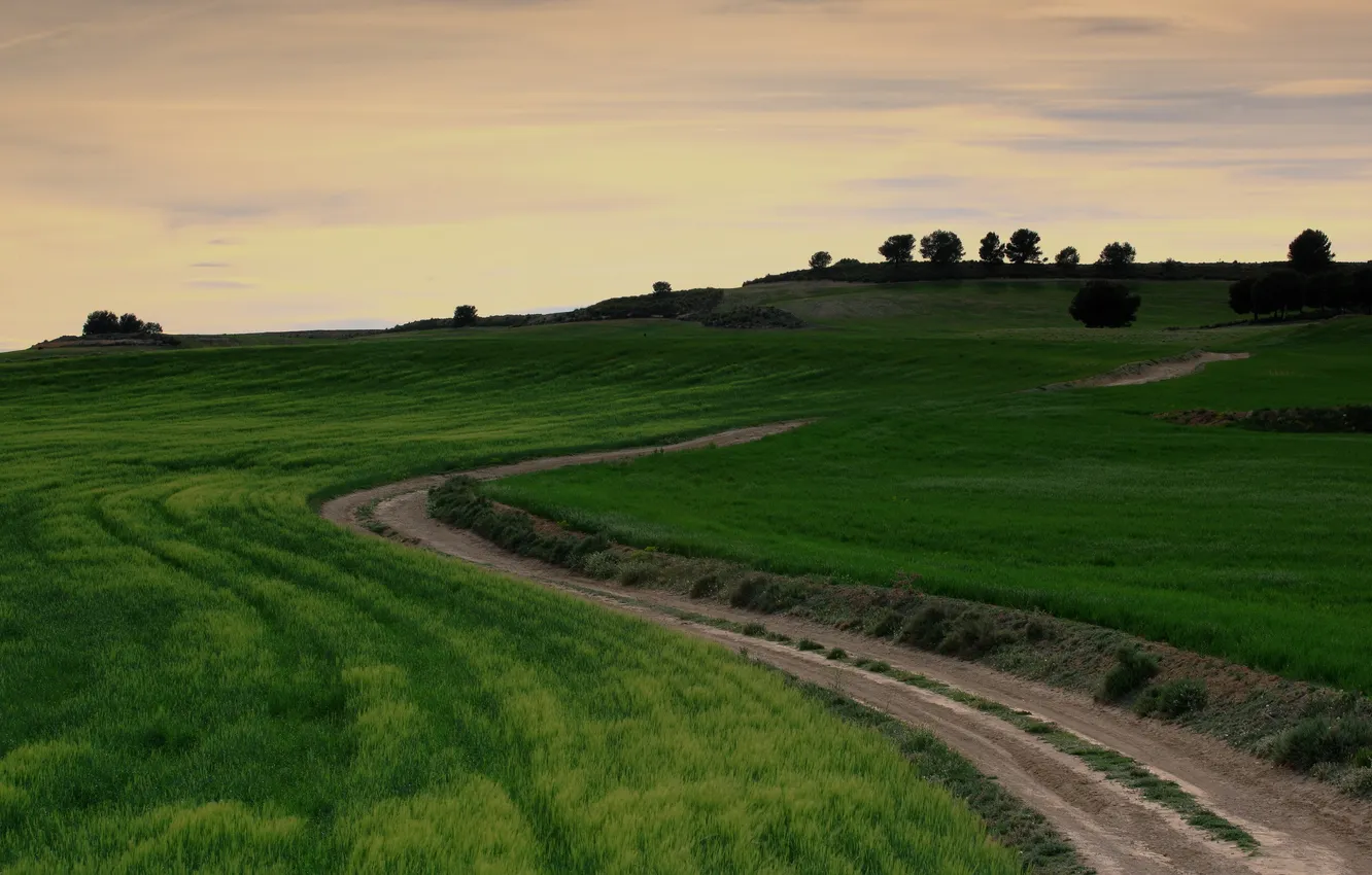 Photo wallpaper road, field, landscape
