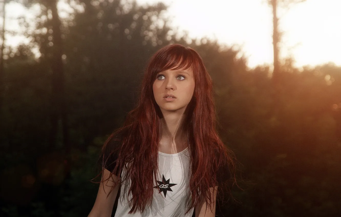 Photo wallpaper FOREST, LOOK, HAIR, SUNSET, DAWN, FOG, RED