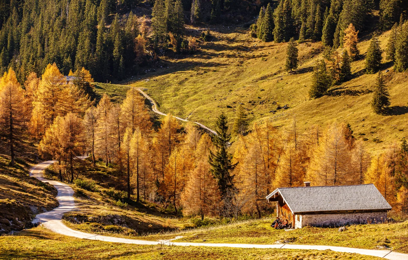 Photo wallpaper road, autumn, trees, mountains, house, Germany, Bayern