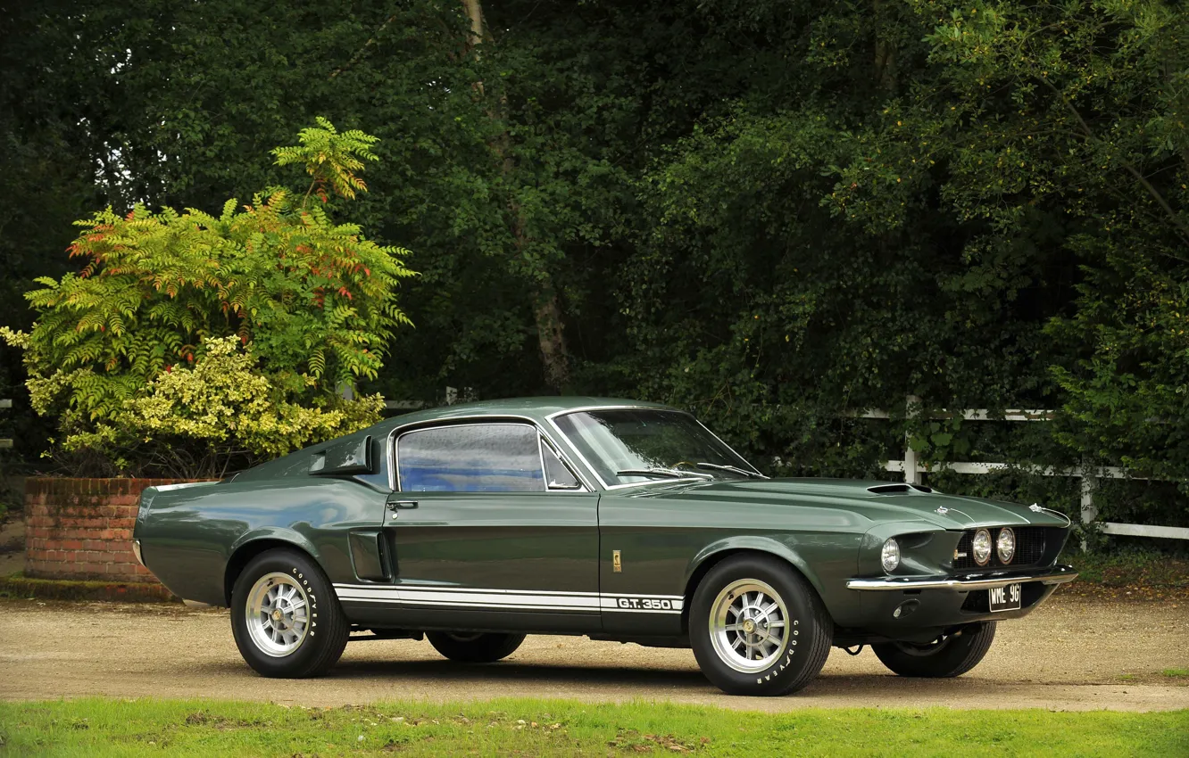 Photo wallpaper Ford Mustang, 1967, Muscle Car, Shelby GT350