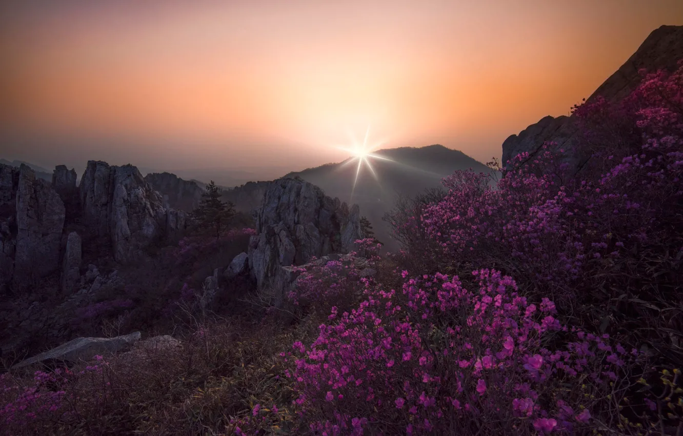Photo wallpaper the sky, the sun, rays, mountains, fog, stones, rocks, dawn