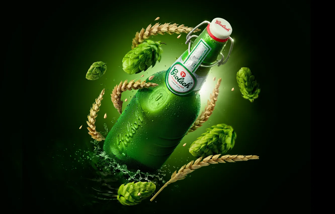 Photo wallpaper the dark background, bottle, beer, beer, hops, bottle, Grolsch, Splash green