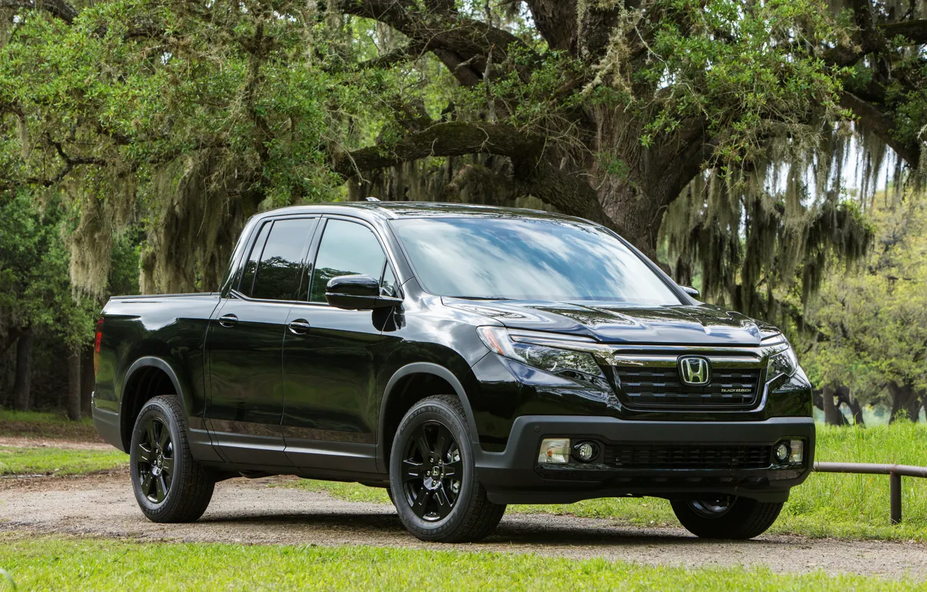 Photo wallpaper trees, lawn, black, branch, plants, Honda, pickup, Black Edition