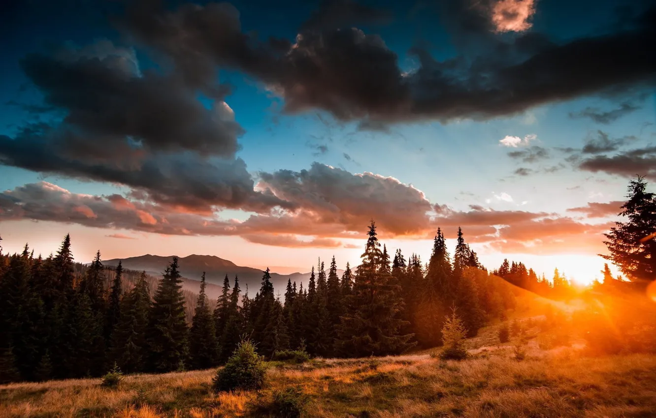 Photo wallpaper forest, the sky, the sun, clouds, light, sunset, mountains, clouds