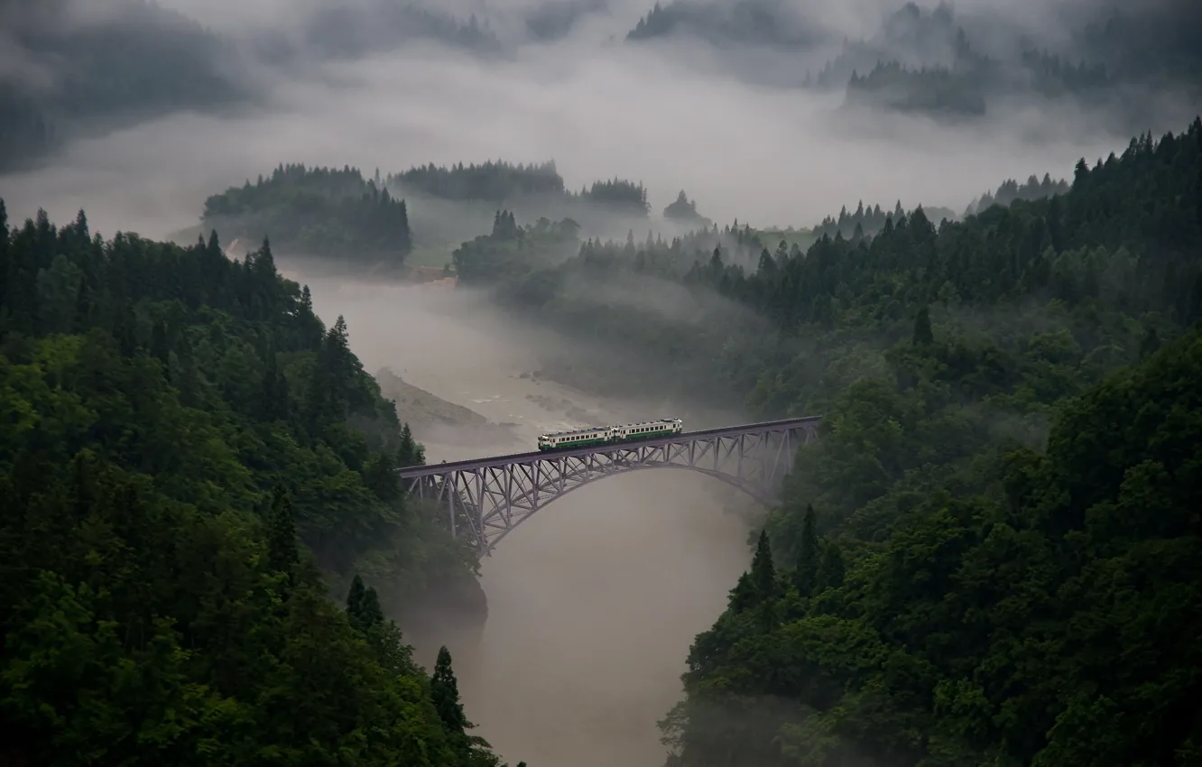 Photo wallpaper forest, trees, bridge, fog, river, train, cars, haze