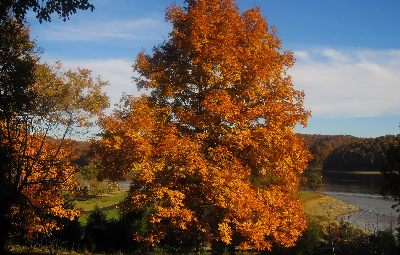 Photo wallpaper autumn, trees, nature, lake, colors, trees, landscape, nature