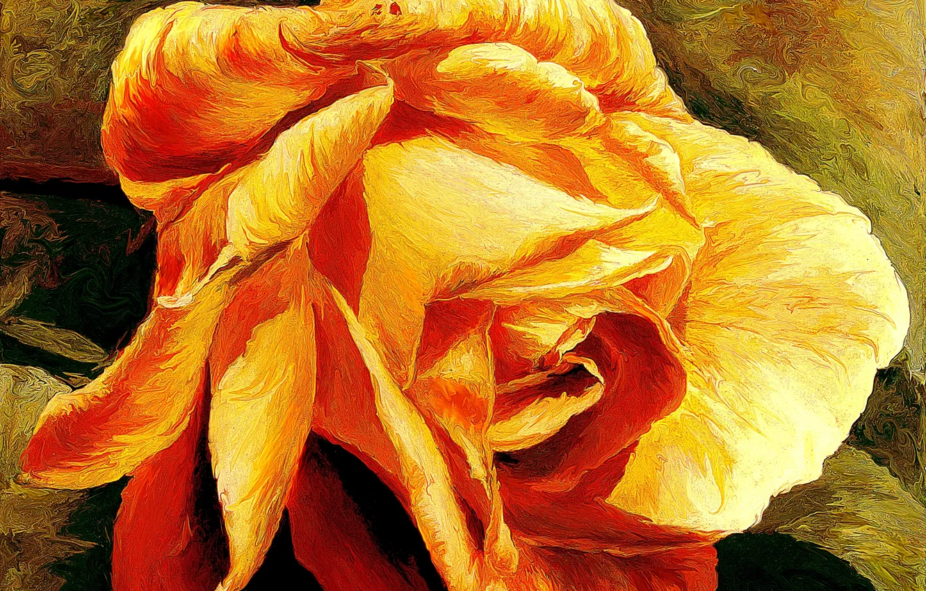 Photo wallpaper rose, golden, rose, yellow, gold, xsereneix