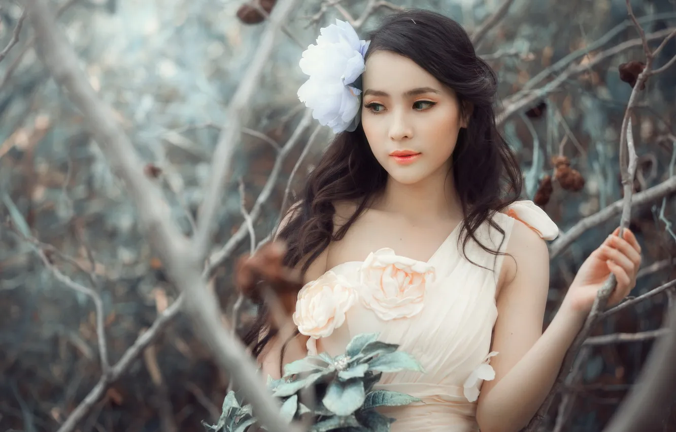 Photo wallpaper girl, Asian, Brand,