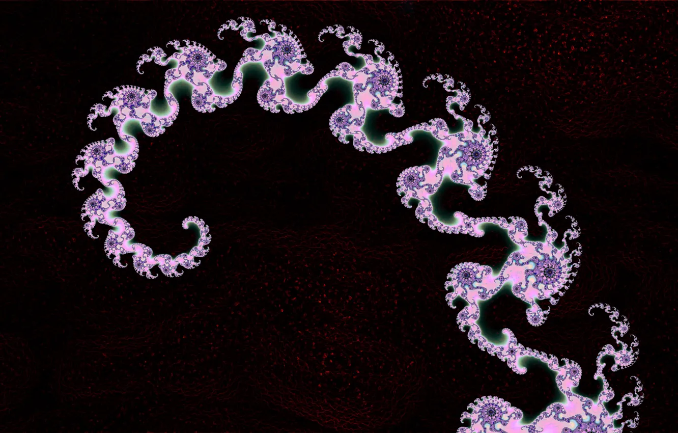 Photo wallpaper background, curls, black background