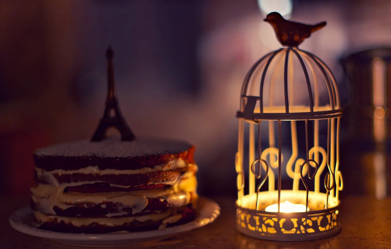 Photo wallpaper background, widescreen, bird, Wallpaper, mood, Eiffel tower, candle, cell