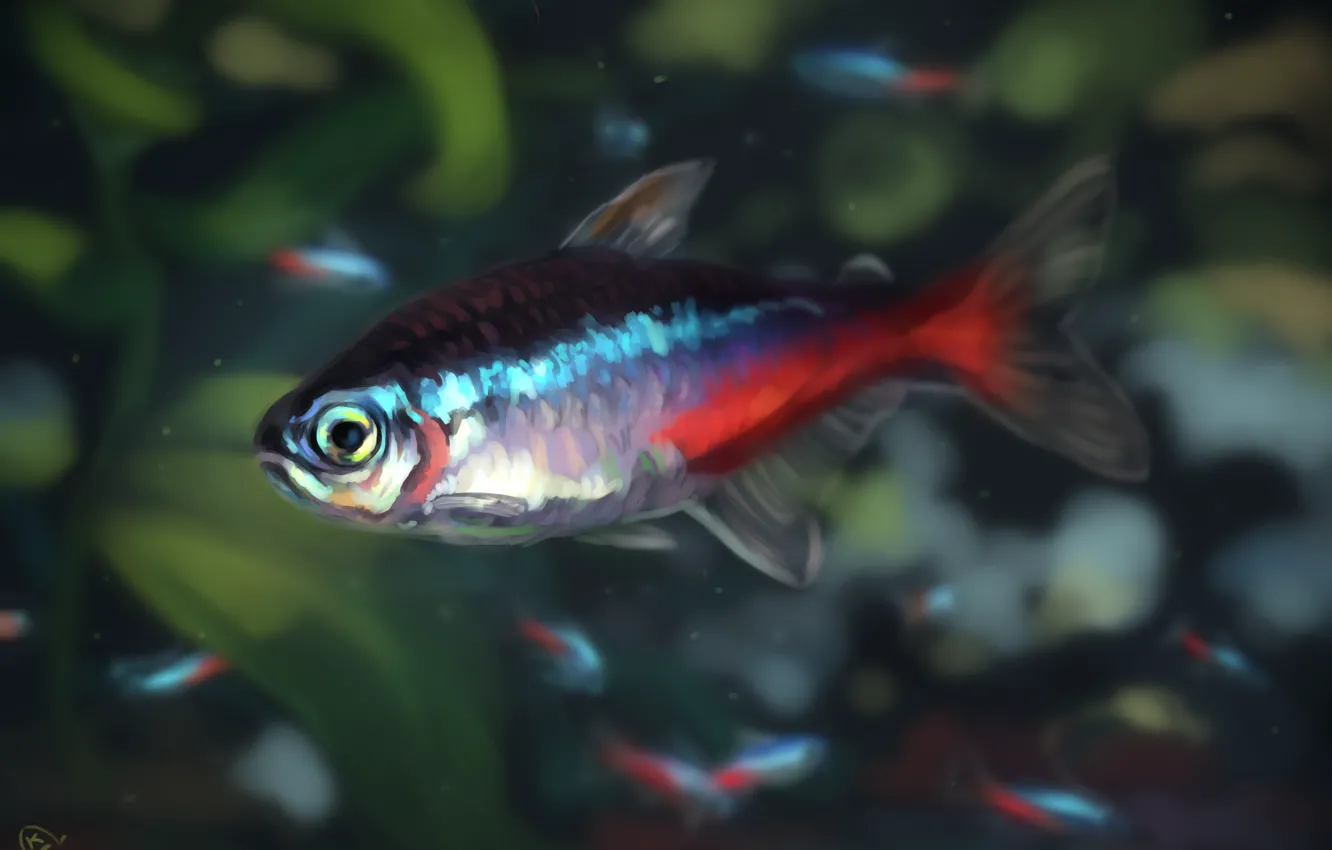 Photo wallpaper fish, neon, AlaxendrA