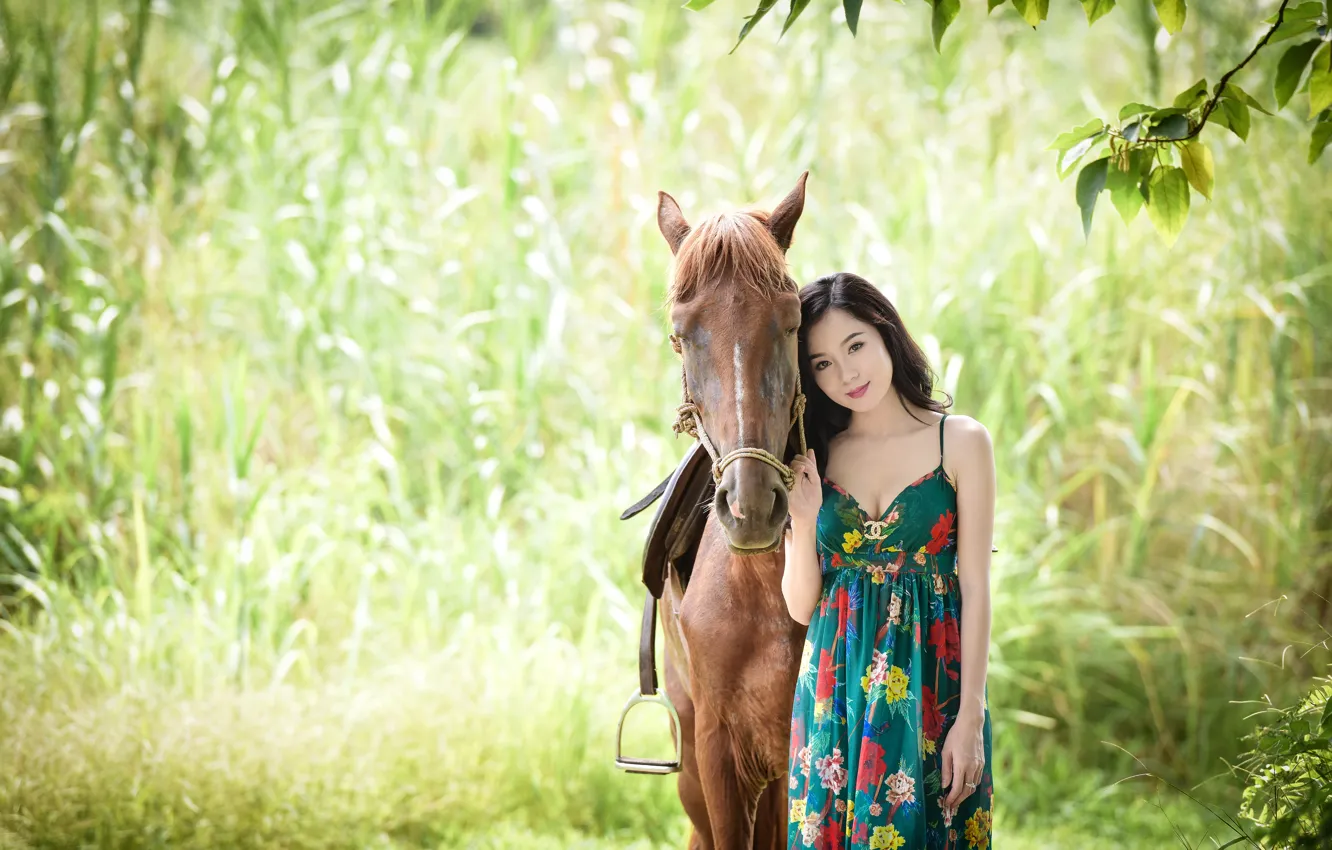 Photo wallpaper greens, summer, look, background, horse, dress, Asian