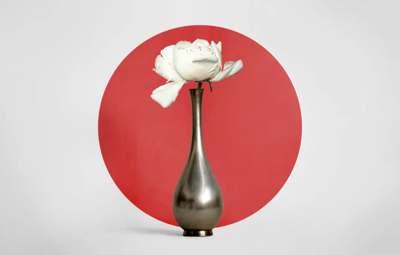 Photo wallpaper minimalism, Japan, Japan, still life, flower, vase with flowers, peonies, peony