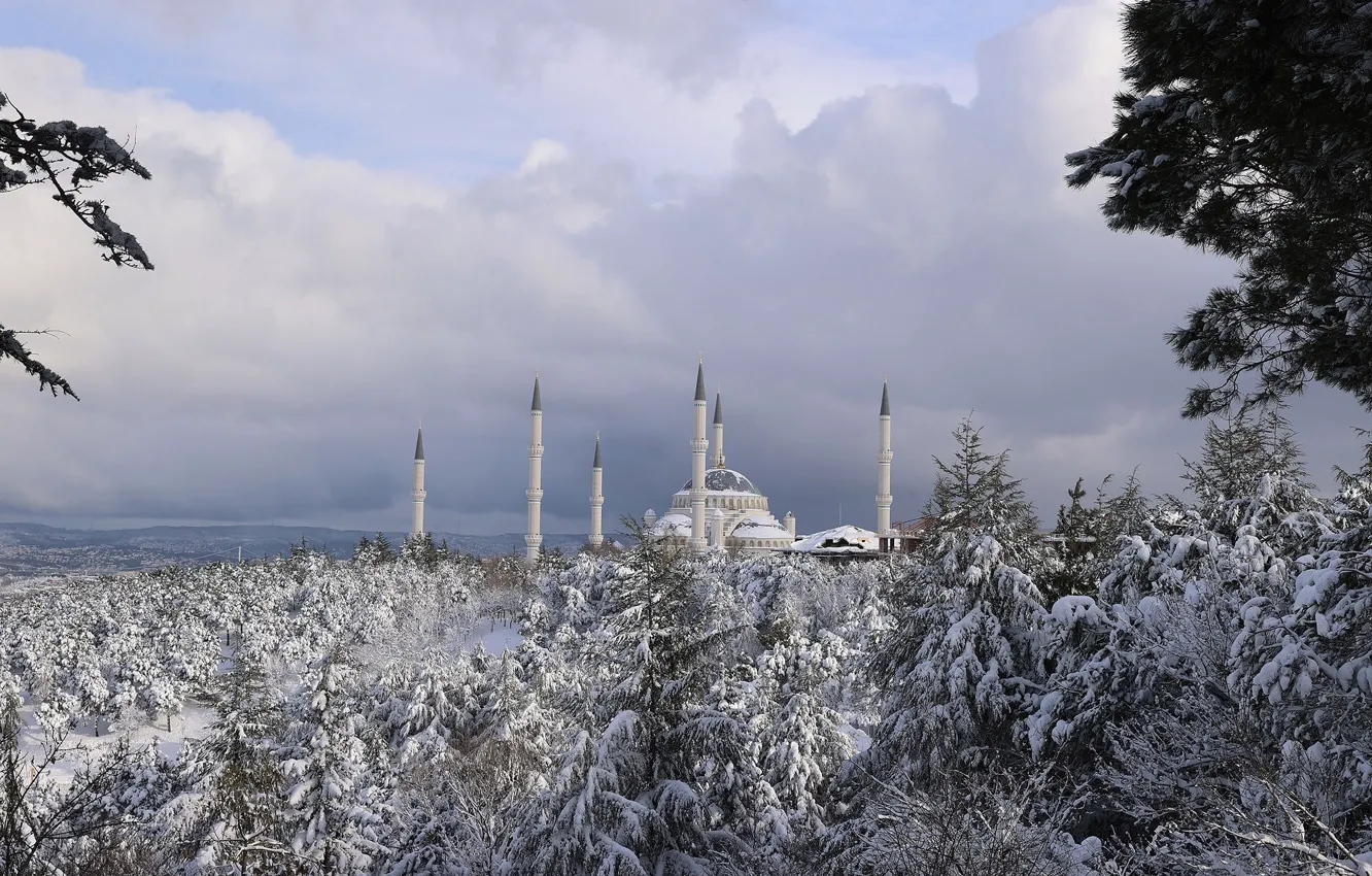 Photo wallpaper trees, winter, snow, Istanbul, mosque