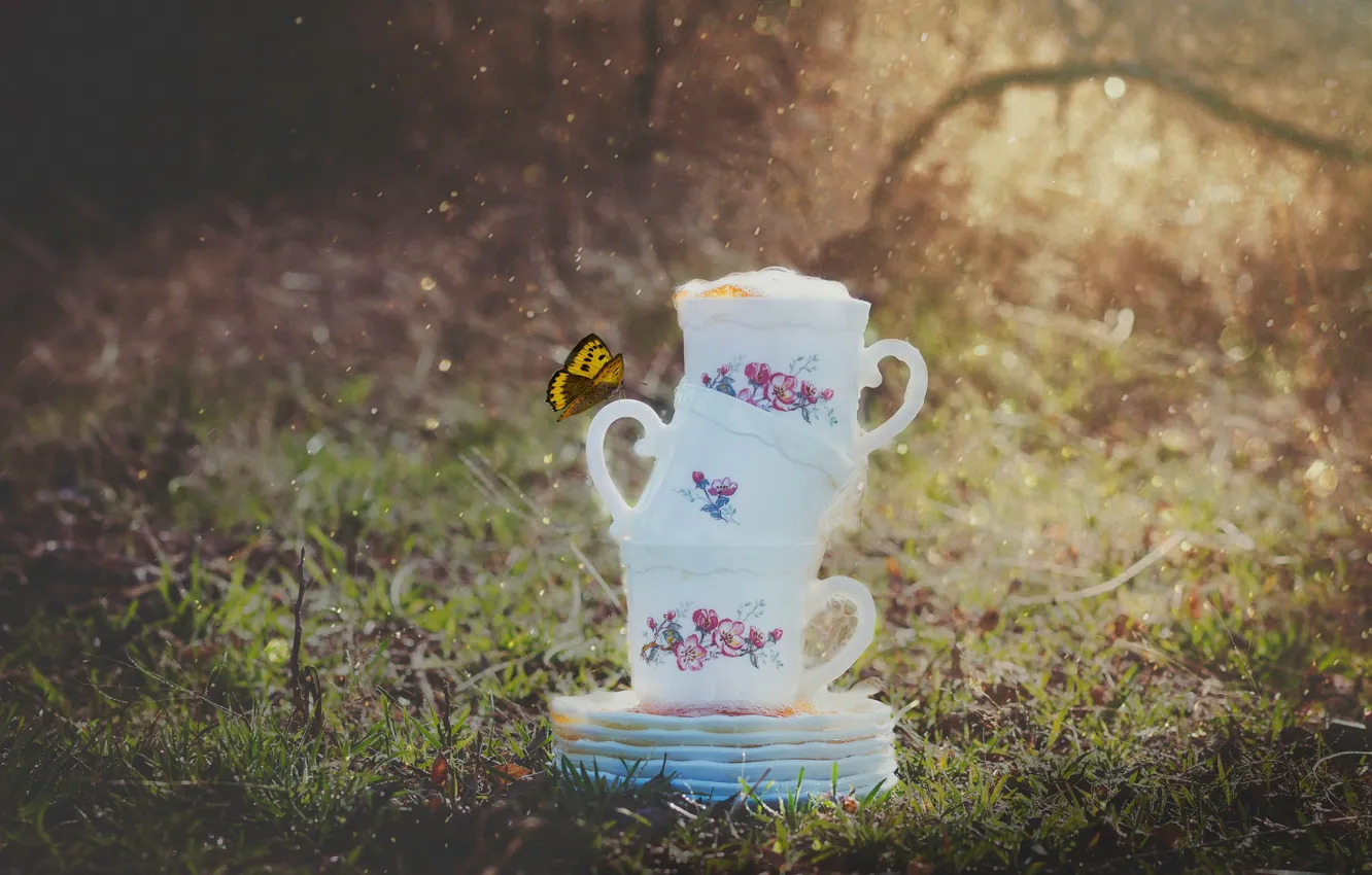 Photo wallpaper rain, butterfly, Cup, mugs, saucers