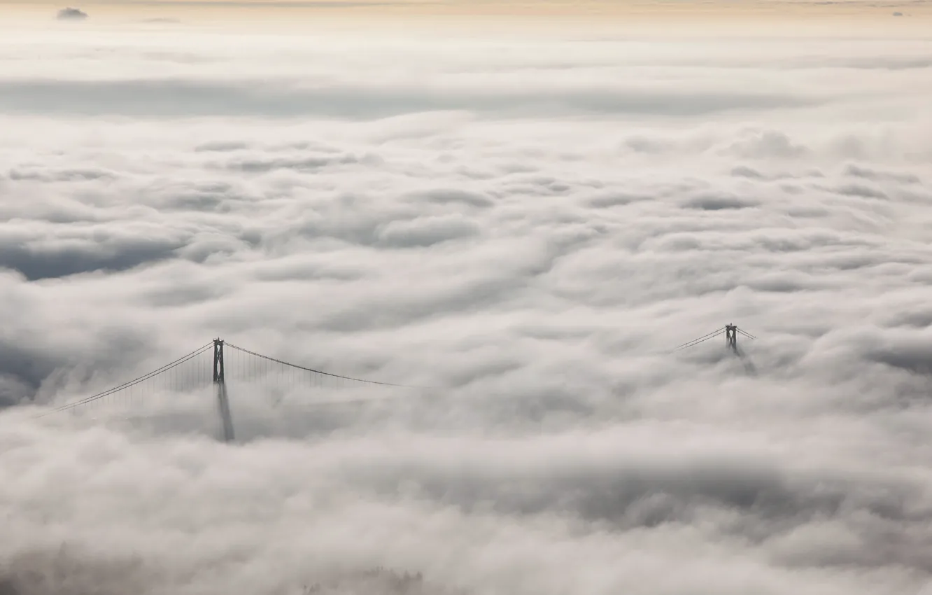 Photo wallpaper landscape, nature, fog, Lions Gate Bridge