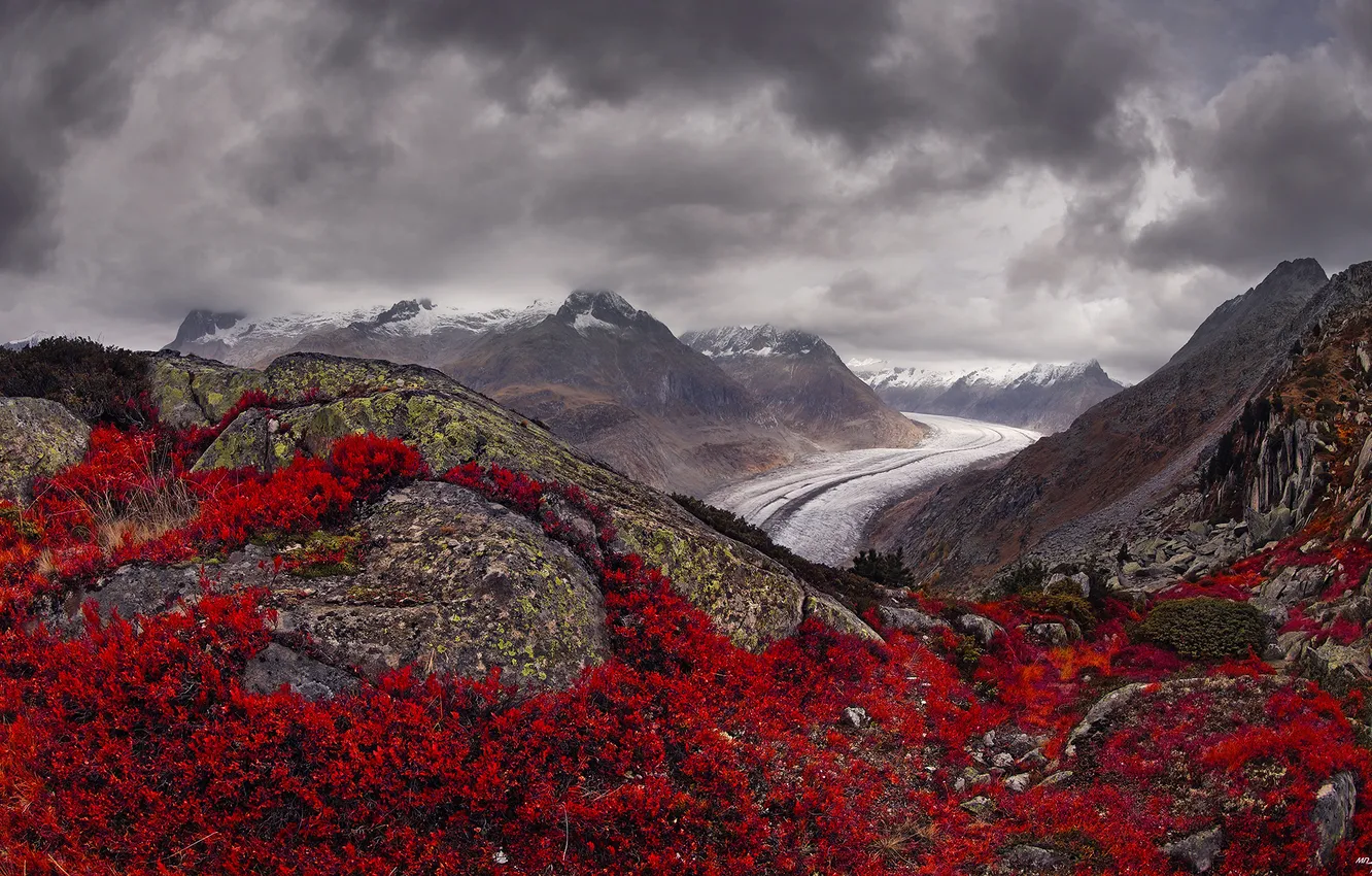 Photo wallpaper clouds, flowers, mountains, clouds, horizon, the beauty of nature, Ice and Flame, Matveev Nikolay