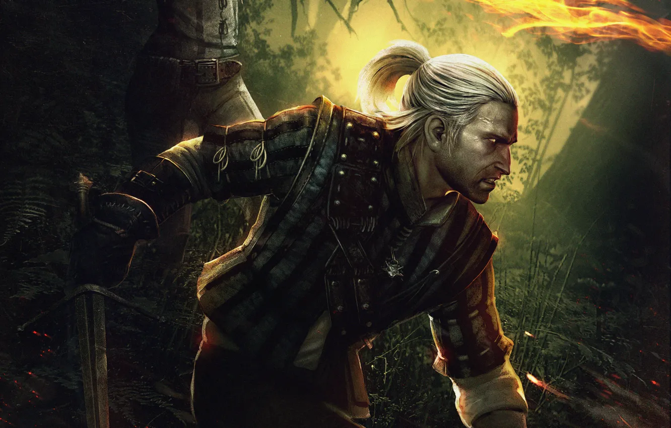 Photo wallpaper The Witcher 2, The Witcher 2, Assassins of Kings, The Killer Of Kings