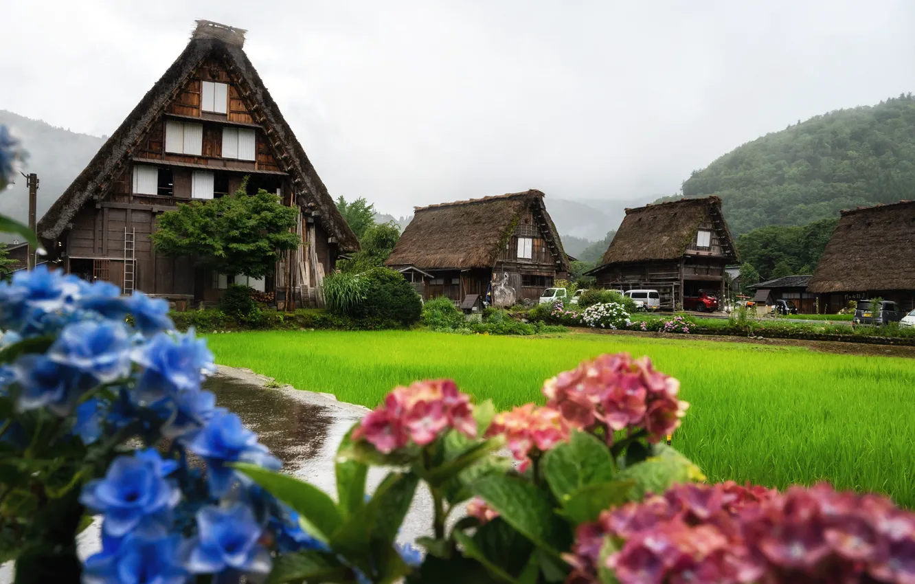 Photo wallpaper flowers, mountains, cottage, lawn
