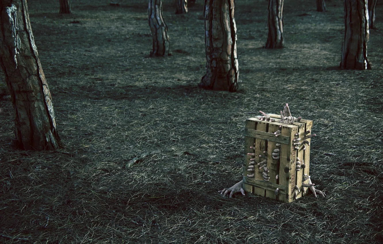 Photo wallpaper hands, fingers, box