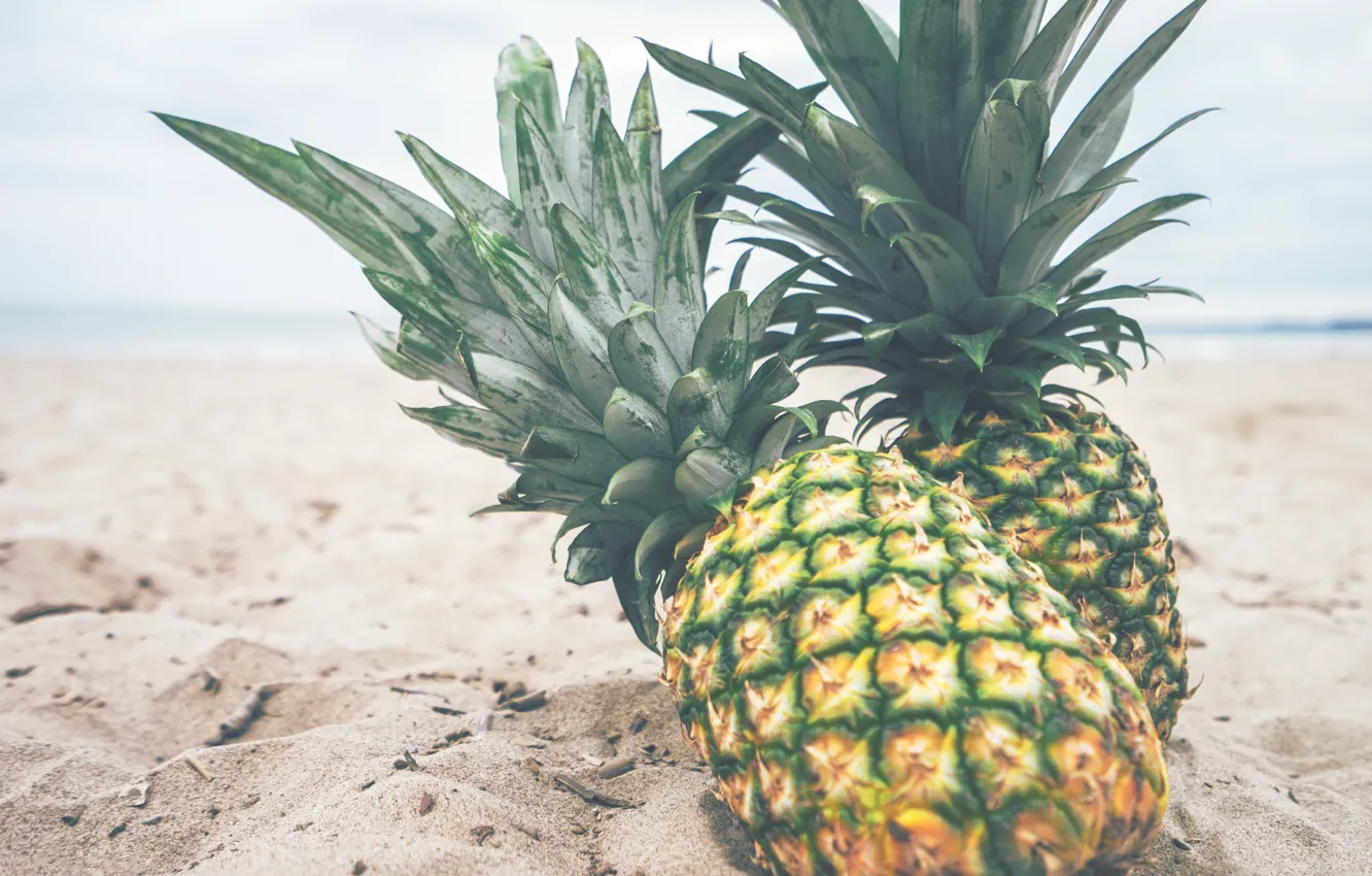 Photo wallpaper sand, beach, pineapple