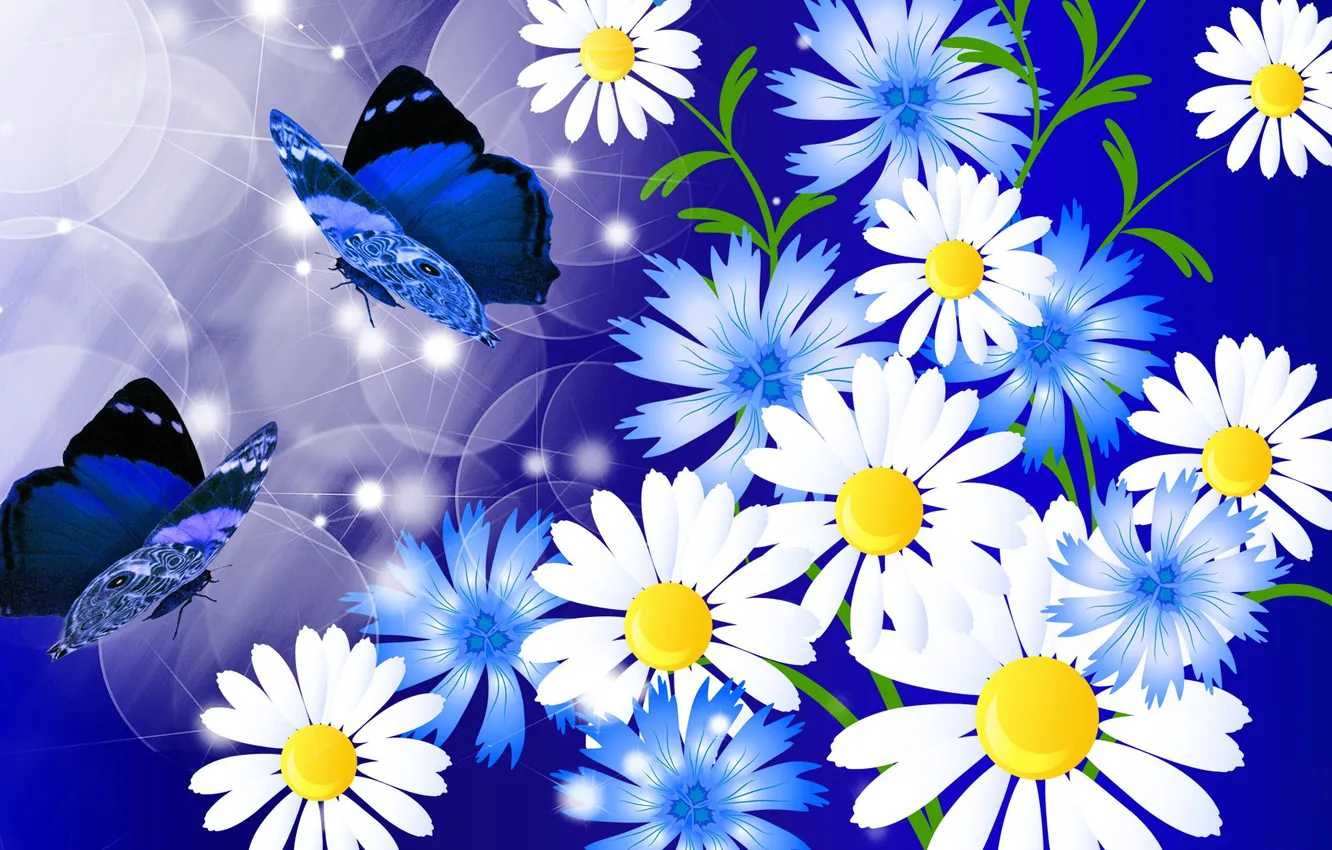 Photo wallpaper flowers, collage, butterfly, chamomile