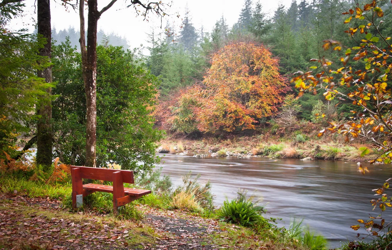 Photo wallpaper autumn, river, bench