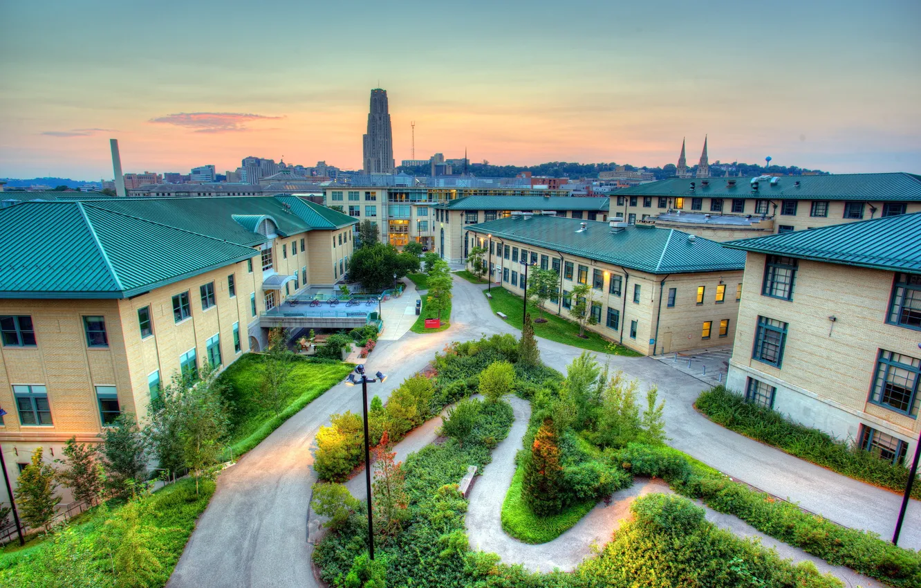 Photo wallpaper grass, the city, photo, street, home, lights, USA, the bushes