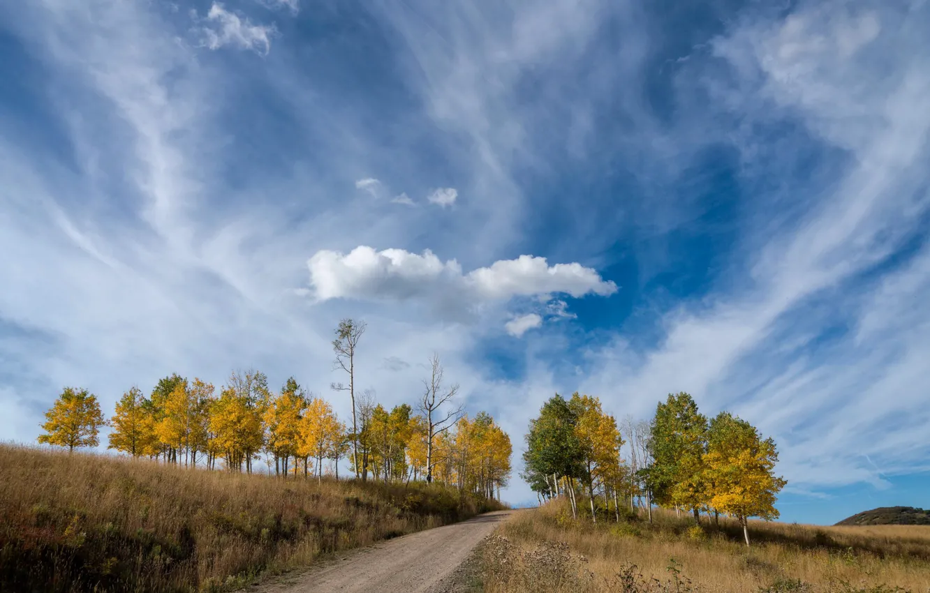 Photo wallpaper road, autumn, the sky