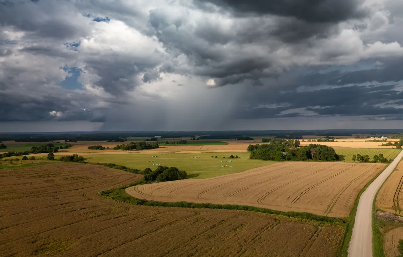 Photo wallpaper field, clouds, rain, horizon, space, grove, Latvia, Latvia