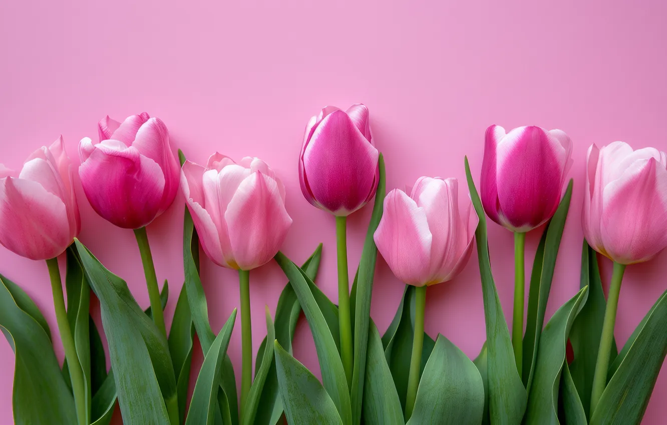 Photo wallpaper flowers, tulips, bouquet, AI art, spring, neural network