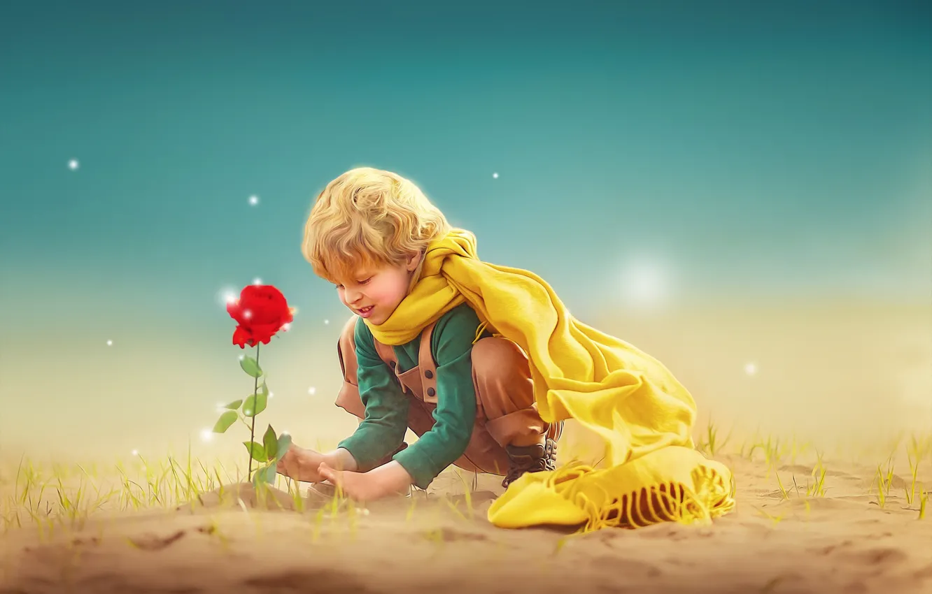 Photo wallpaper flower, rose, boy, child, photoart, Ksenia Lysenkova, The Little Prince