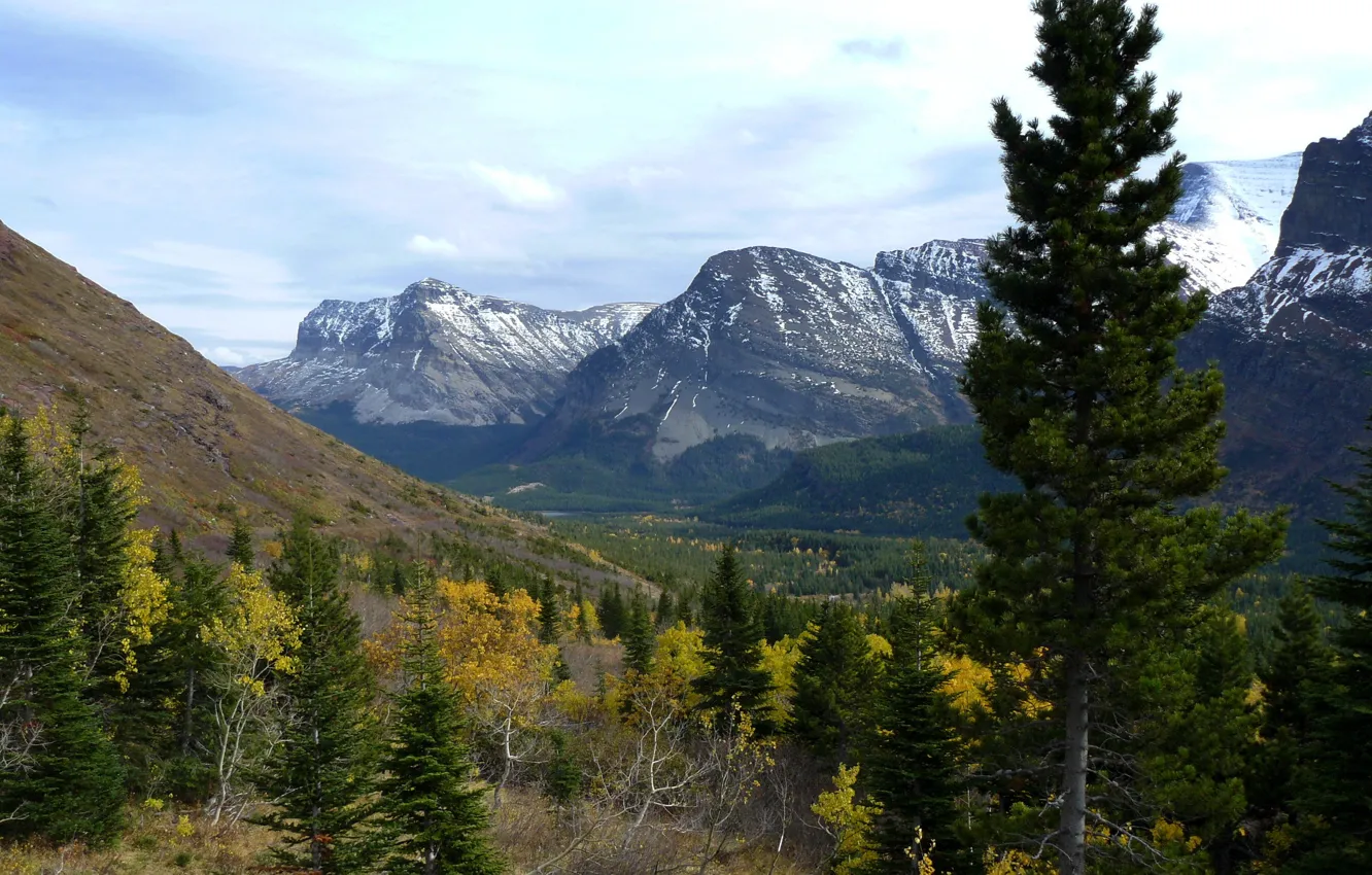 Photo wallpaper trees, landscape, mountains, nature, Park, photo, USA, Glacier Montana