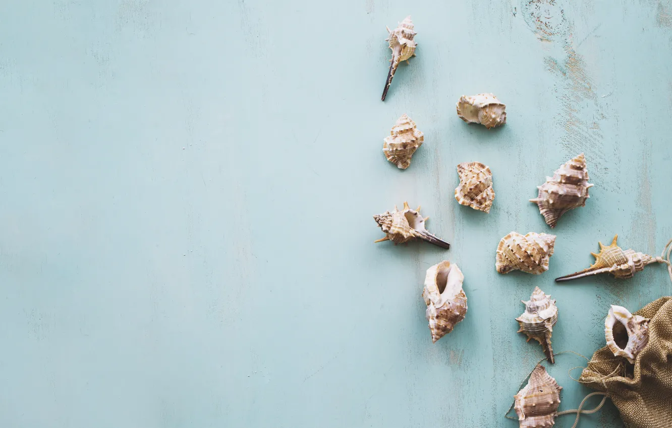 Photo wallpaper shell, summer, wood, marine, starfish, composition, seashells