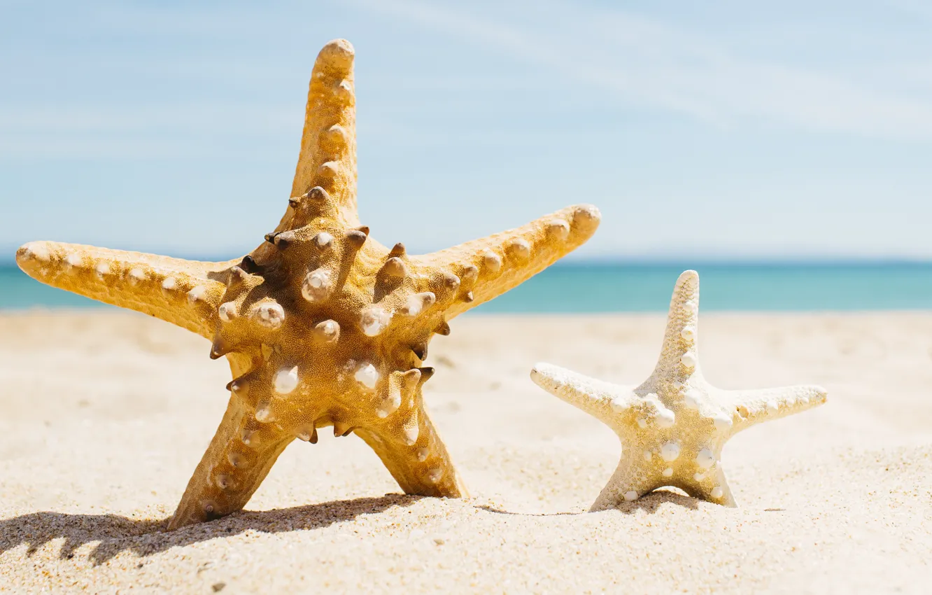 Photo wallpaper sand, sea, beach, stars, summer, beach, sea, sea