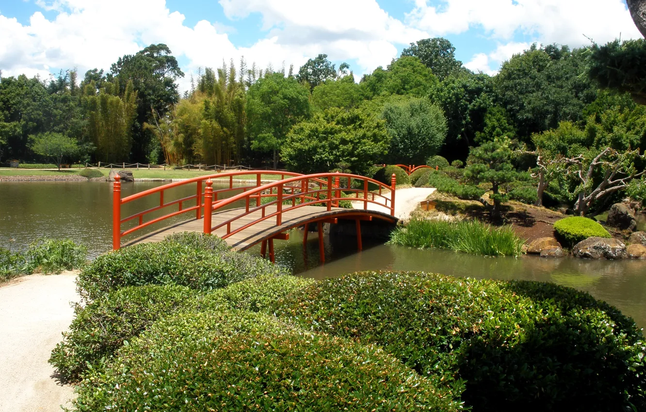 Photo wallpaper trees, bridge, pond, Park, Australia, Japenese Garden, Toowoomba