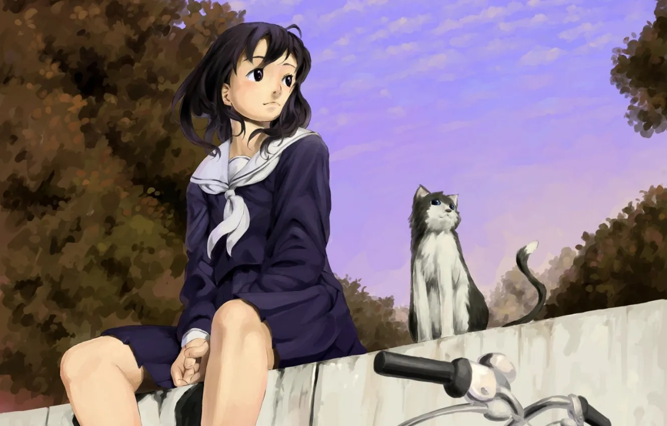 Photo wallpaper the sky, cat, girl, clouds, trees, bike, anime, art
