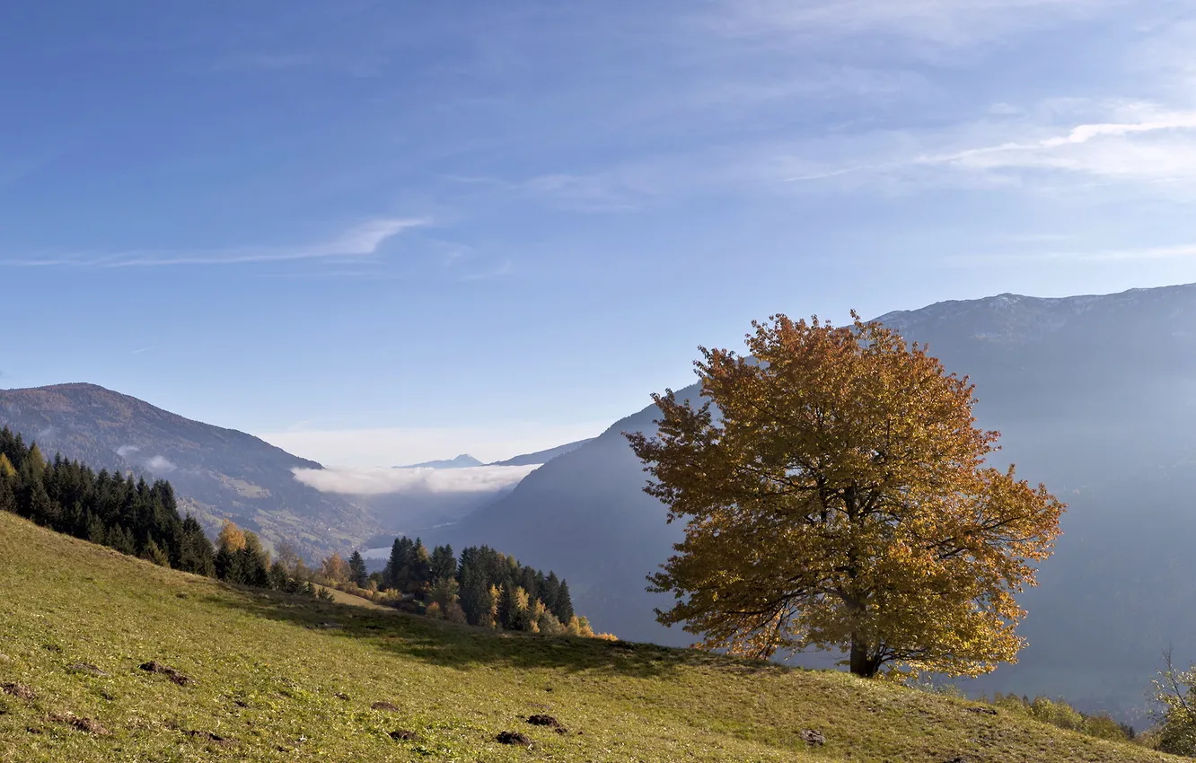 Photo wallpaper the sky, trees, mountains