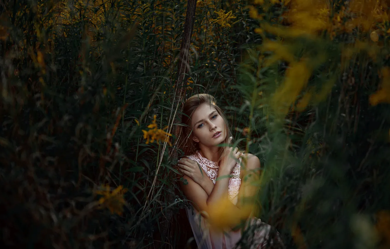 Photo wallpaper grass, look, girl, smile, sweetheart, model, portrait, light
