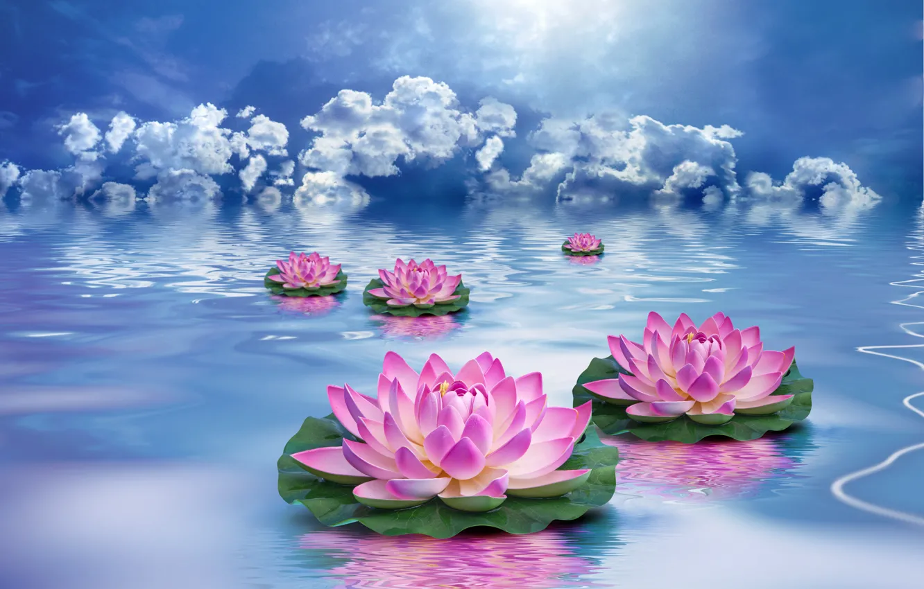 Photo wallpaper the sky, water, clouds, flowers, Lotus