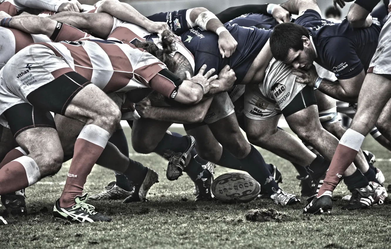 Photo wallpaper sport, the game, Rugby