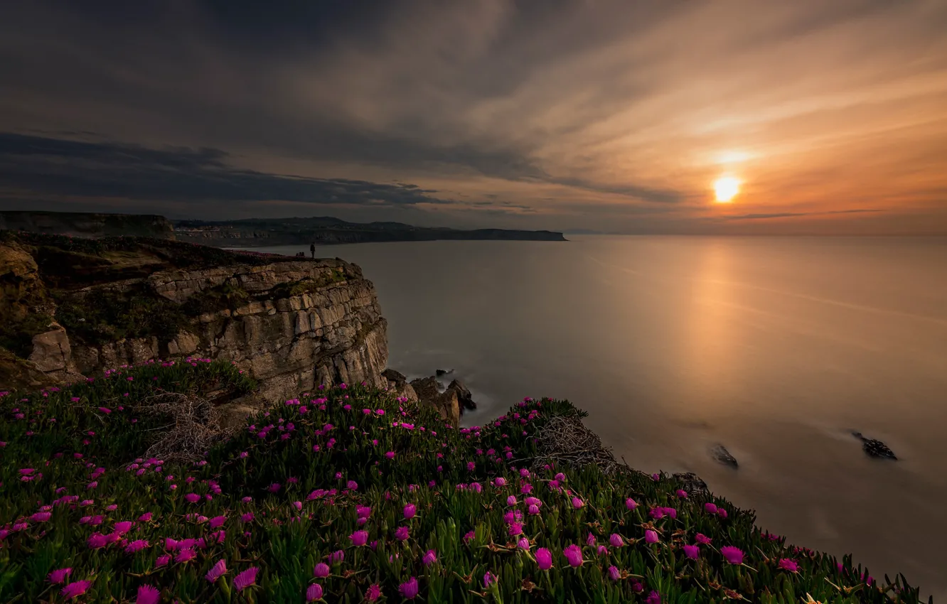 Photo wallpaper sea, sunset, flowers, rocks, coast, Spain, Spain, The Bay of Biscay