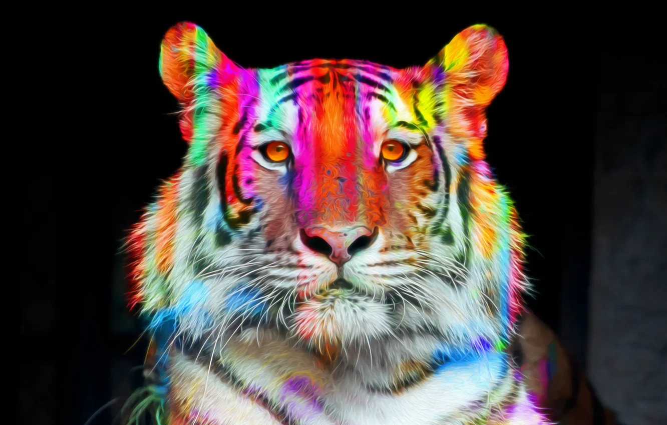 Photo wallpaper face, tiger, color