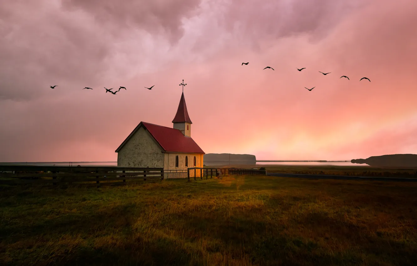 Photo wallpaper field, birds, Church