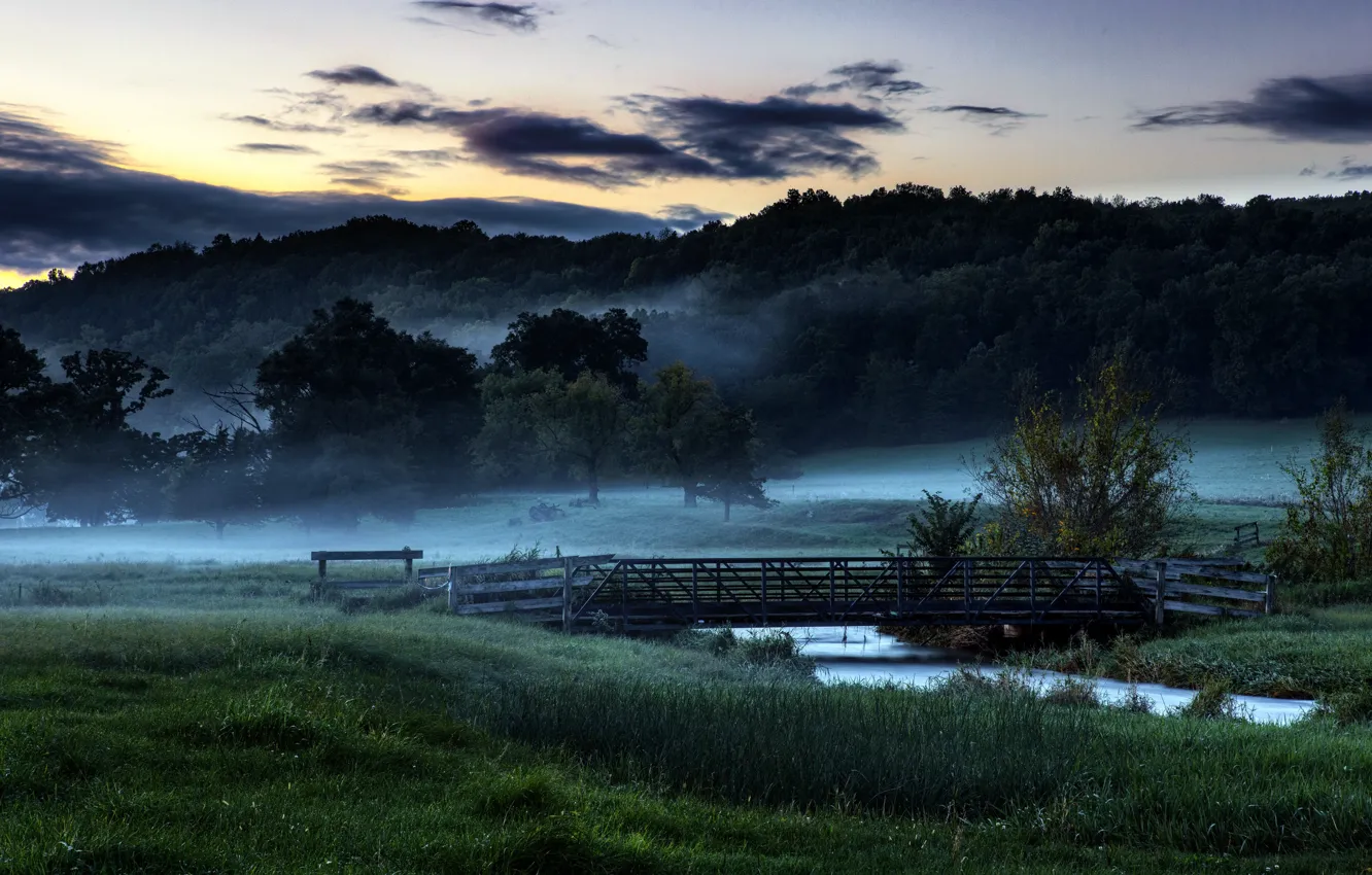 Photo wallpaper field, bridge, fog, morning