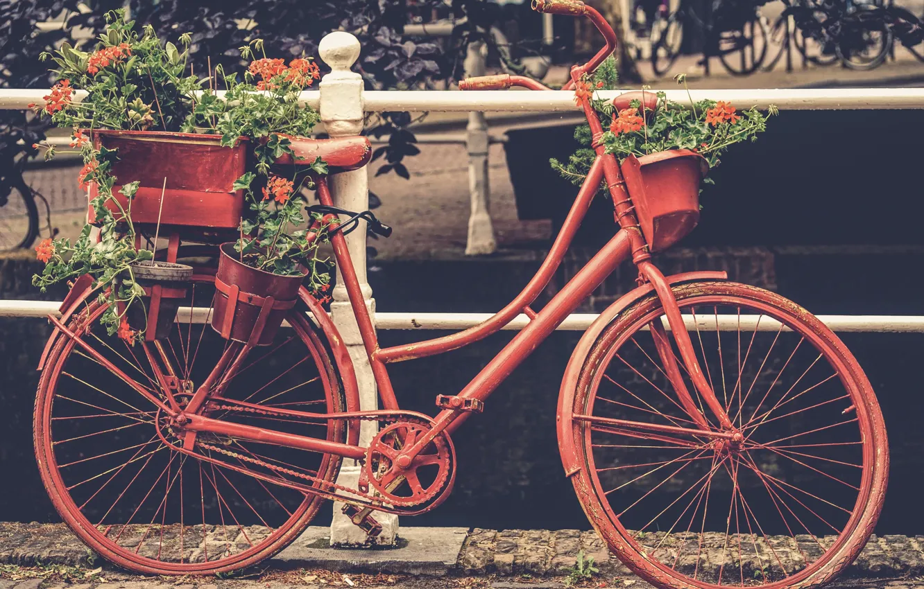 Photo wallpaper flowers, red, style, rusty, Europe, Bike