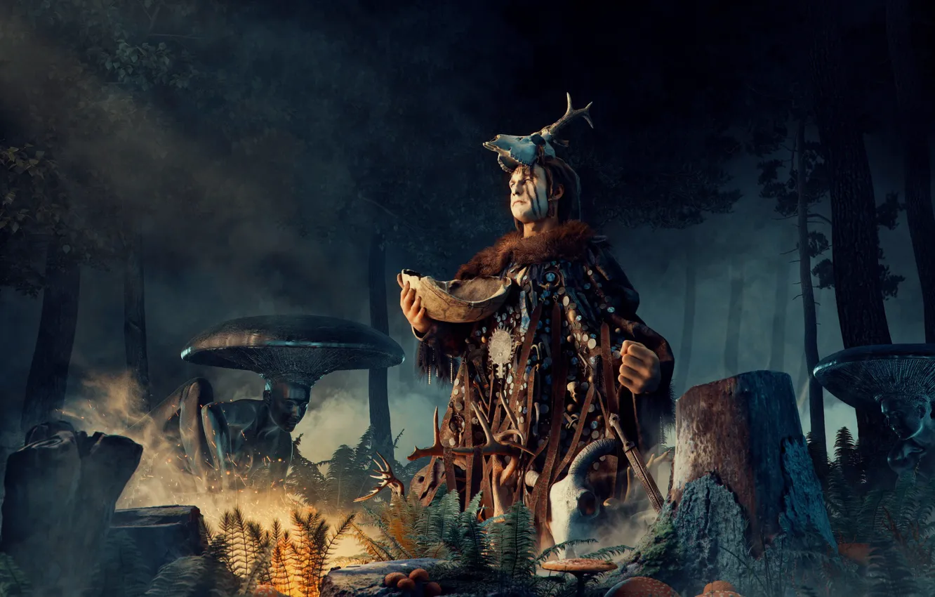 Photo wallpaper forest, night, the sorcerer, shaman, Amanita Muscaria