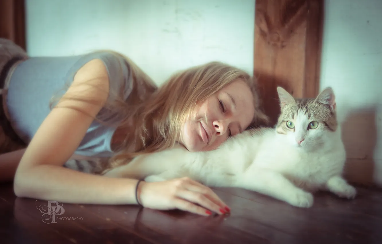 Photo wallpaper cat, mood, girl
